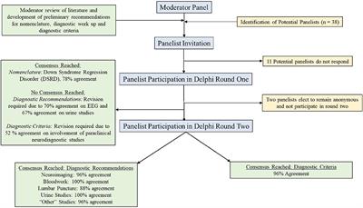 Assessment and Diagnosis of Down Syndrome Regression Disorder: International Expert Consensus